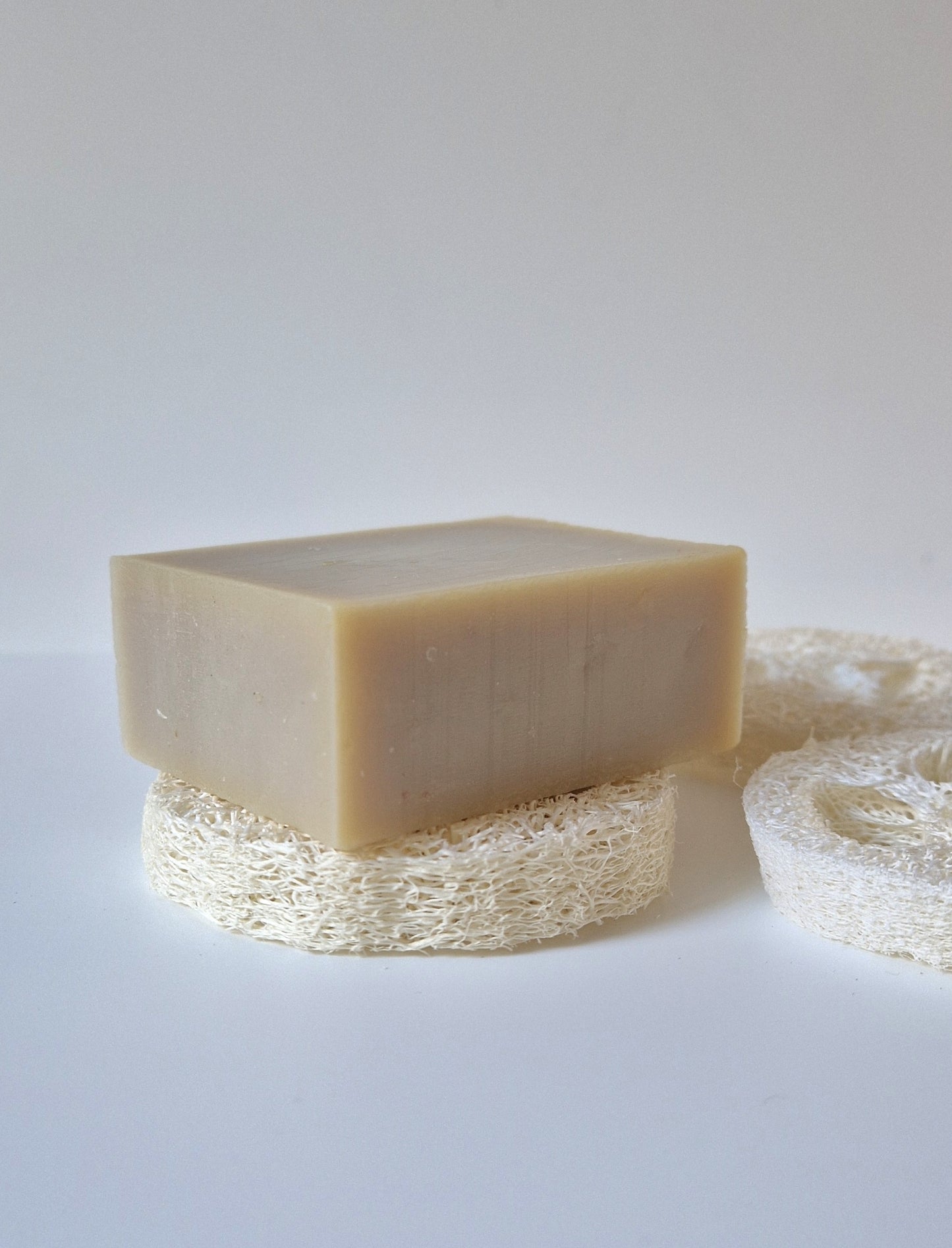 Tranches de Loofah ( par 3 )
