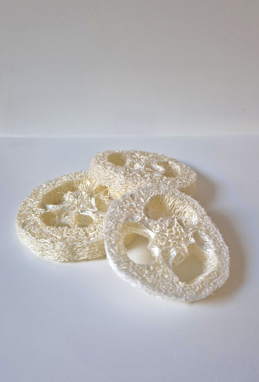 Tranches de Loofah ( par 3 )