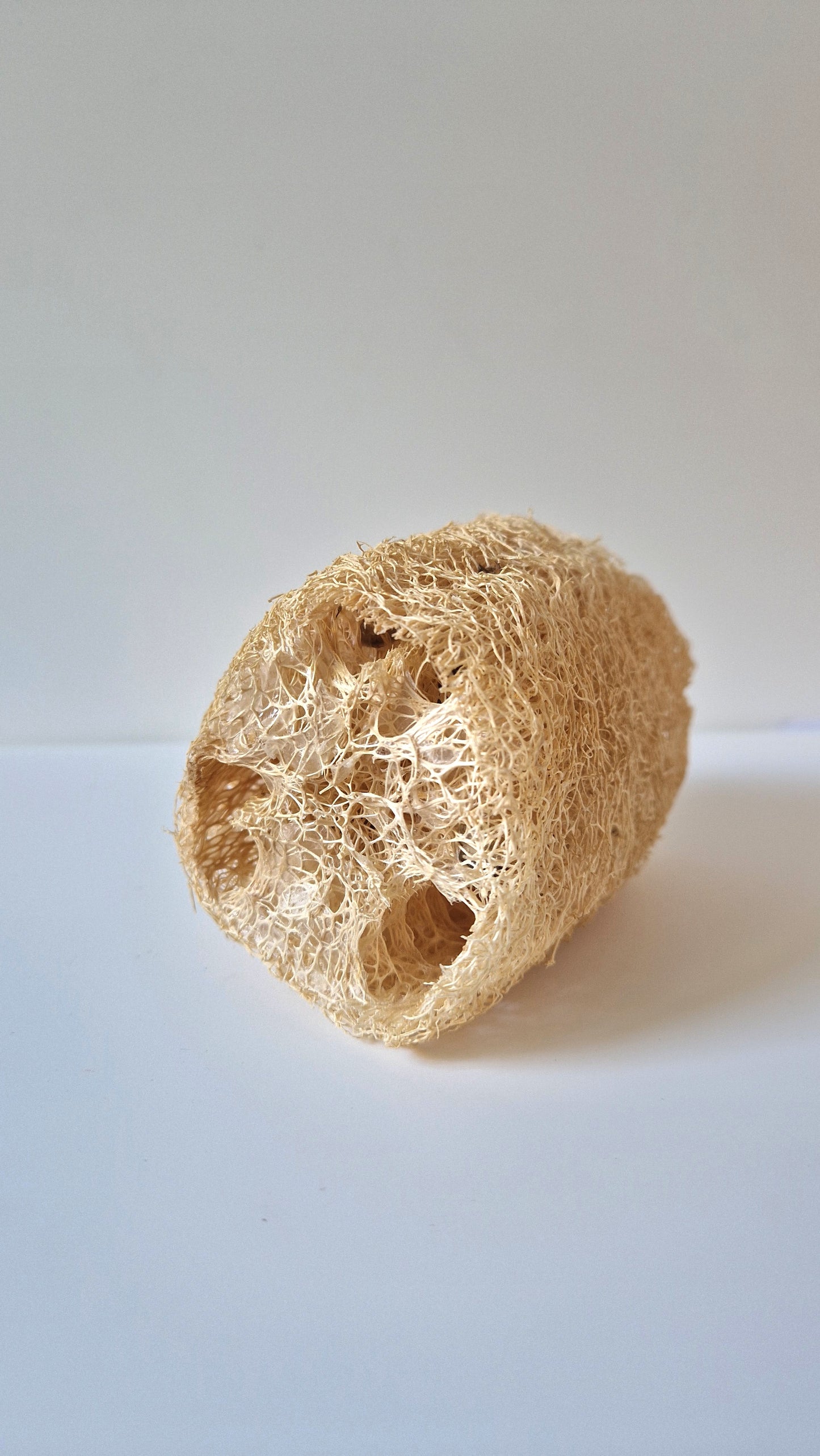 Éponge de bain naturelle ( Loofah )