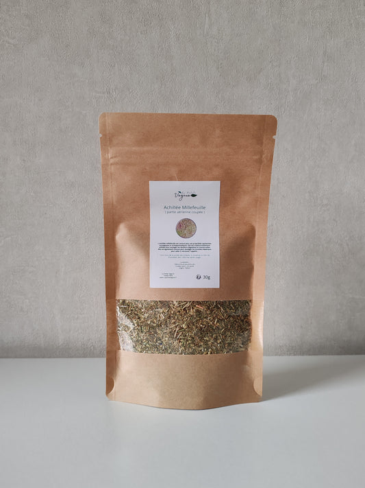 Achillée Millefeuille ( partie aérienne coupée )
