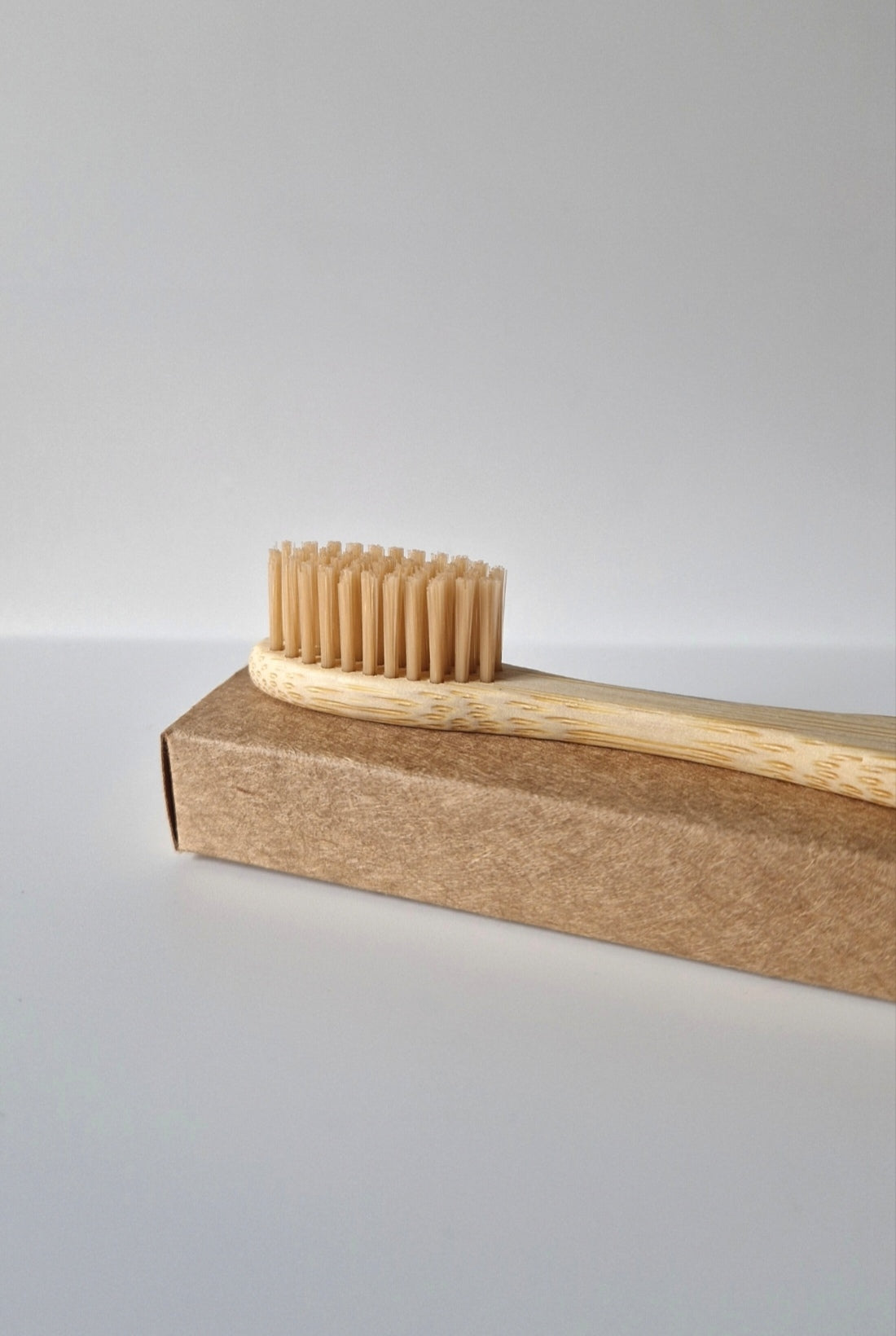 Brosse à dent bambou